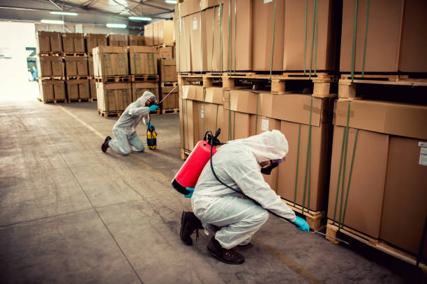 Best Cockroach Control Services  in Fairview, OR