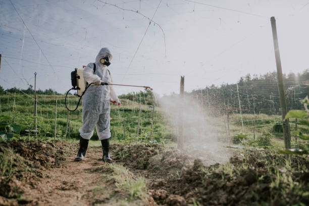 Best Commercial Pest Control Services  in Fairview, OR