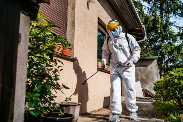 Best Flea Control Services  in Fairview, OR