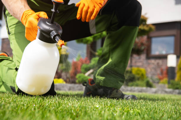Best Insect Control  in Fairview, OR