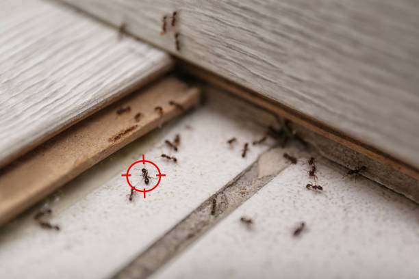 Best Wildlife Control Services  in Fairview, OR