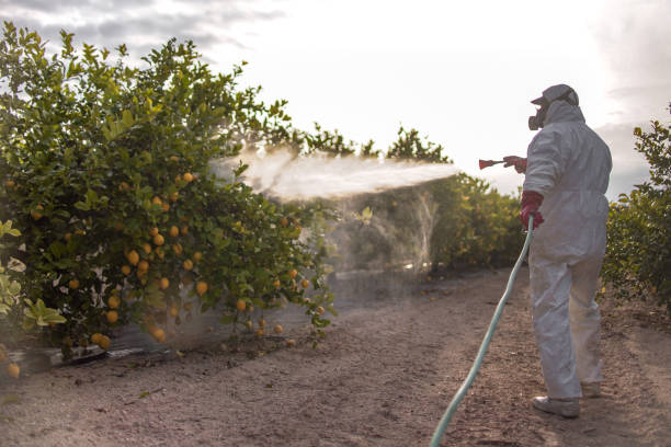 Best Insect Control  in Fairview, OR