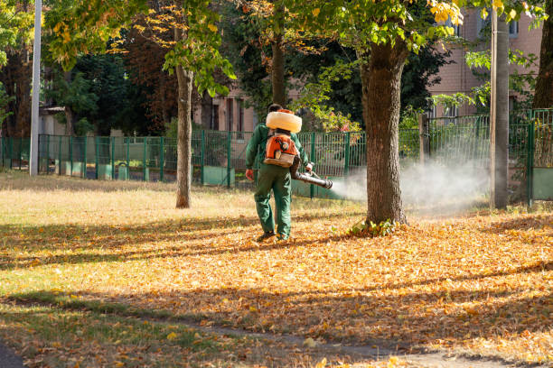 Professional Pest Control in Fairview, OR