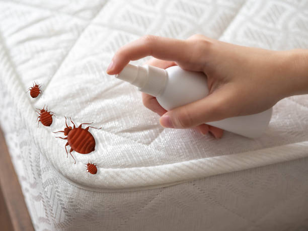 Best Emergency Pest Control  in Fairview, OR