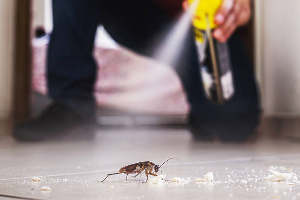 Best Commercial Pest Control Services  in Fairview, OR