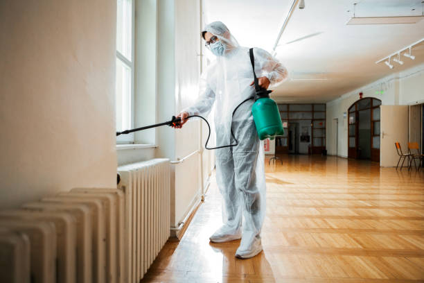 Best Wasp Removal Services  in Fairview, OR