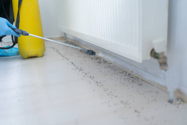 Pest Control for Restaurants in Fairview, OR