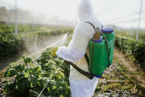 Best Pest Control Near Me  in Fairview, OR